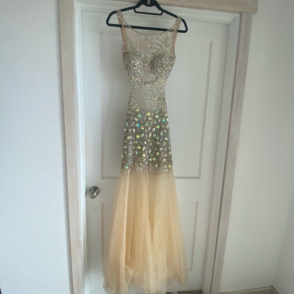Long Jovani dress